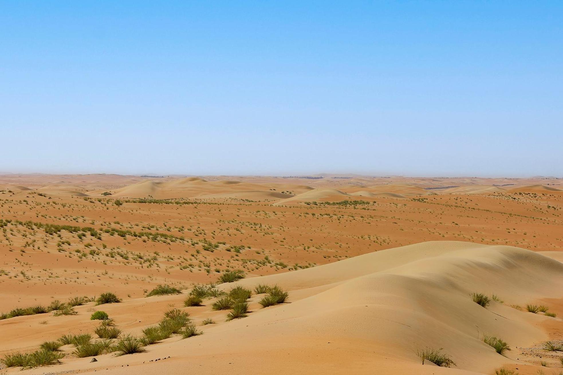 Aldhafra Desert Resort, Vignette Collection By Ihg Madīnat Zāyid Esterno foto
